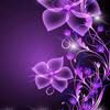 crystal_neese